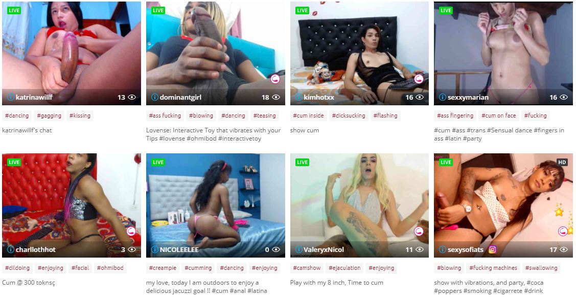 bongacams trans cams